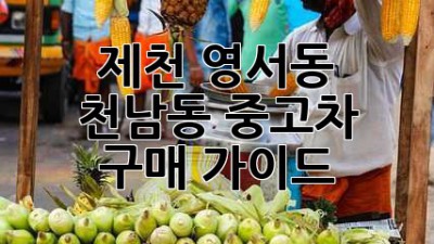 제천 영서동, 천남동 중고차 구매 가이드