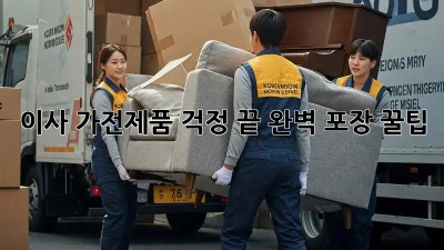 이사, 가전제품 걱정 끝! 완벽 포장 꿀팁